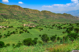 منظر طبيعي مهر للجبال المتدره لعاليه المغطا بانباتات والأشار